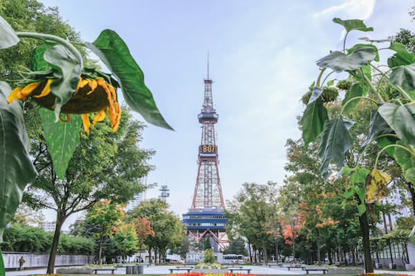 札幌の大通公園