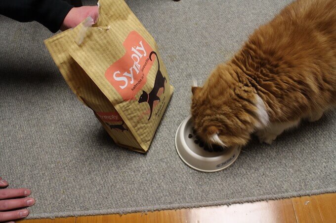 シンプリーキャットフード
